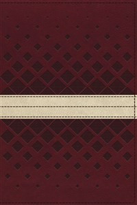 NKJV, Unapologetic Study Bible, Imitation Leather, Red/Tan, Indexed, Red Letter Edition - ISBN: 9780310080404