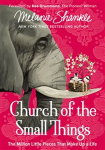 Church of the Small Things - ISBN: 9780310348870