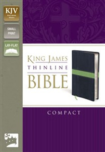 KJV, Thinline Bible, Compact, Imitation Leather, Blue/Green, Red Letter Edition - ISBN: 9780310439189