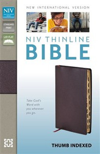 NIV, Thinline Bible, Bonded Leather, Burgundy, Indexed, Red Letter Edition - ISBN: 9780310435778