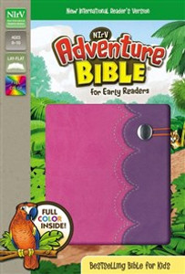 NIrV, Adventure Bible for Early Readers, Imitation Leather, Pink/Purple, Full Color - ISBN: 9780310744597