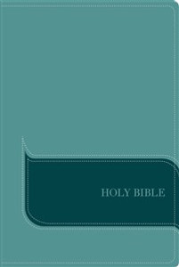 NIV, Understand the Faith Study Bible, Imitation Leather, Blue - ISBN: 9780310442240