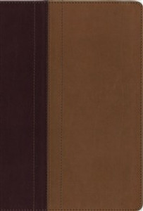 NIV, Quest Study Bible, Imitation Leather, Burgundy/Tan - ISBN: 9780310941507