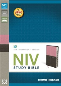 NIV Study Bible, Imitation Leather, Pink/Brown, Indexed, Red Letter Edition - ISBN: 9780310426646