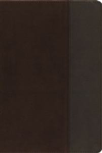 NIV, Quest Study Bible, Imitation Leather, Brown/Gray - ISBN: 9780310941514