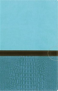 NIV, Women's Devotional Bible, Imitation Leather, Blue - ISBN: 9780310437680