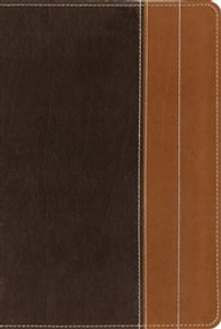 NIV, Essentials Study Bible, Imitation Leather, Brown/Tan - ISBN: 9780310442424