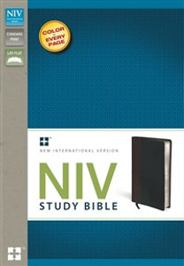 NIV Study Bible, Imitation Leather, Brown/Black, Red Letter Edition - ISBN: 9780310437468