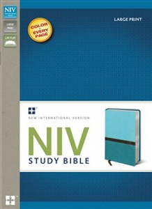 NIV Study Bible, Large Print, Imitation Leather, Blue/Turquoise, Red Letter Edition - ISBN: 9780310438663
