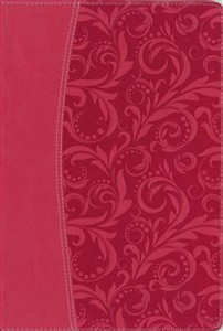 NIV, Essentials Study Bible, Imitation Leather, Pink - ISBN: 9780310432371