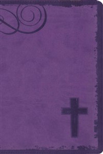 NIV, Rock Solid Faith Study Bible for Teens, Imitation Leather, Purple - ISBN: 9780310723318