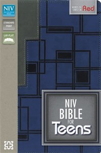 NIV, Bible for Teens, Imitation Leather, Navy/Gray - ISBN: 9780310744221