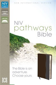 NIV, Pathways Bible, Imitation Leather, Brown/Gray - ISBN: 9780310402657