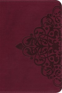 NIV, Single-Column Bible, Imitation Leather, Burgundy - ISBN: 9780310402626