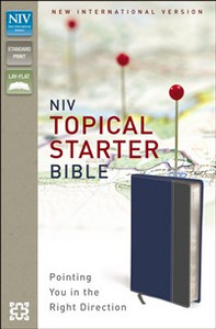 NIV, Topical Starter Bible, Imitation Leather, Blue/Gray - ISBN: 9780310411154