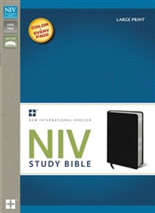 NIV Study Bible, Large Print, Bonded Leather, Black, Red Letter Edition - ISBN: 9780310437574