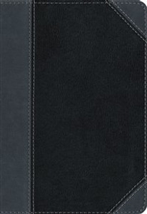 NIV, Thinline Bible, Imitation Leather, Black/Gray, Red Letter Edition - ISBN: 9780310448853