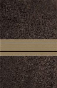 NIV, Thinline Bible, Giant Print, Imitation Leather, Brown/Tan, Red Letter Edition - ISBN: 9780310448648