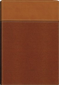 NIV, Thinline Bible, Imitation Leather, Tan, Red Letter Edition - ISBN: 9780310448860