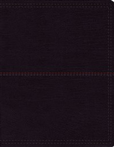 NIV, Journal the Word Bible, Large Print, Imitation Leather, Black - ISBN: 9780310447030