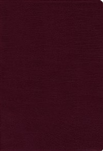 NIV, Thinline Bible, Bonded Leather, Burgundy, Red Letter Edition - ISBN: 9780310448792