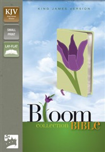 KJV, Thinline Bloom Collection Bible, Compact, Imitation Leather, Green/Purple, Red Letter Edition - ISBN: 9780310440956