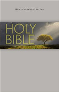 NIV, Outreach Bible, Paperback, Gray - ISBN: 9781563201363