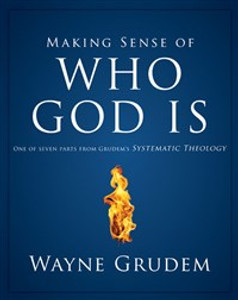 Making Sense of Who God Is - ISBN: 9780310493129