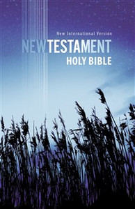 NIV, Outreach New Testament, Paperback, Blue - ISBN: 9781563205781