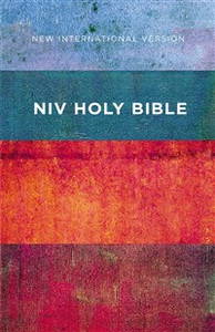 NIV, Value Outreach Bible, Paperback - ISBN: 9780310446491