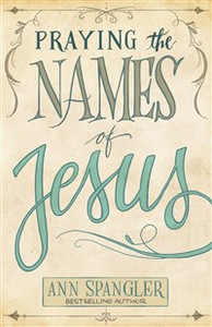 Praying the Names of Jesus - ISBN: 9780310345800