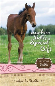 Southern Belle's Special Gift - ISBN: 9780310717942