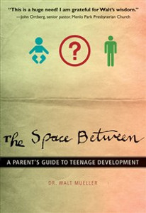 The Space Between - ISBN: 9780310287711