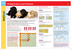 Multiplication and Division FlashCharts:  - ISBN: 9781411469334