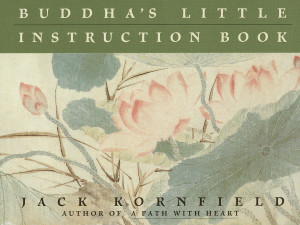 Buddha's Little Instruction Book:  - ISBN: 9780553373851