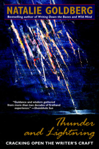 Thunder and Lightning: Cracking Open the Writer's Craft - ISBN: 9780553374964
