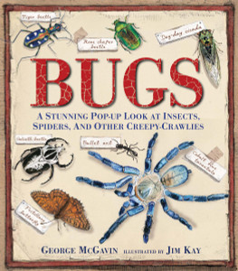 Bugs: A Stunning Pop-up Look at Insects, Spiders, and Other Creepy-Crawlies - ISBN: 9780763667627