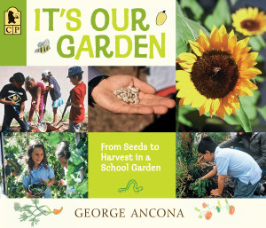 It's Our Garden: From Seeds to Harvest in a School Garden - ISBN: 9780763676919