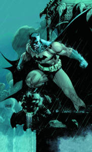 Absolute Batman: Hush - ISBN: 9781401204266