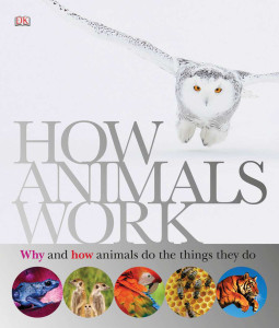 How Animals Work:  - ISBN: 9780756658977