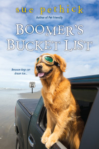 Boomer's Bucket List:  - ISBN: 9781496709042