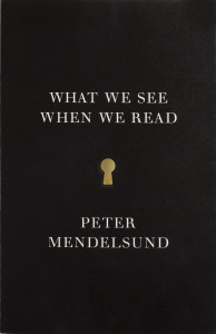 What We See When We Read:  - ISBN: 9780804171632