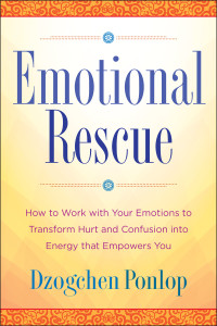 Emotional Rescue: How to Work with Your Emotions to Transform Hurt and Confusion into Energy That Empowers You - ISBN: 9780399176647