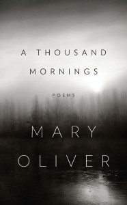A Thousand Mornings:  - ISBN: 9781594204777