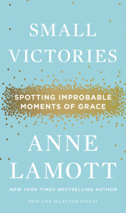 Small Victories: Spotting Improbable Moments of Grace - ISBN: 9781594486296