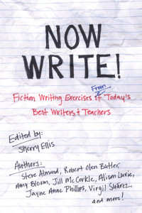 Now Write!: Fiction Writing Exercises from Today's Best Writers and Teachers - ISBN: 9781585425228