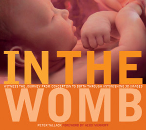 In the Womb: Witness the Journey from Conception to Birth through Astonishing 3D Images - ISBN: 9781426200038
