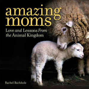 Amazing Moms: Love and Lessons From the Animal Kingdom - ISBN: 9781426216671