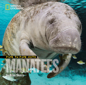 Face to Face with Manatees:  - ISBN: 9781426306167