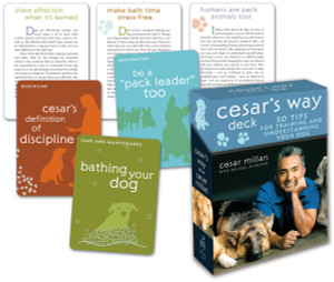 Cesar's Way Deck: 50 Tips for Training and Understanding Your Dog - ISBN: 9780307396327
